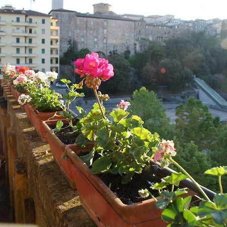 Alla Residenza Domus Minervae Перуджа Номер фото